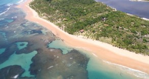 tea016 – Land Area In Caçange Beach, Maraú, Bahia, Brazil