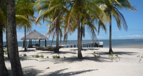 tel014 – High End Real Estate in Sharks’ Island, Camamu Bay, Bahia, Brazil
