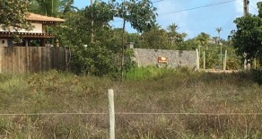 tel016 – Incredible Land Plots in The Coast Development, Maraú, Bahia, Brazil
