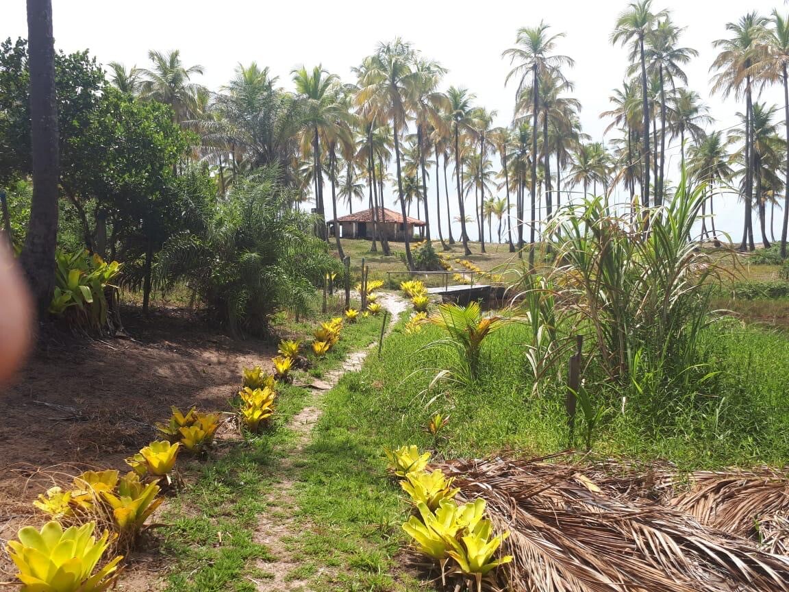 Casa de praia nos Algodões